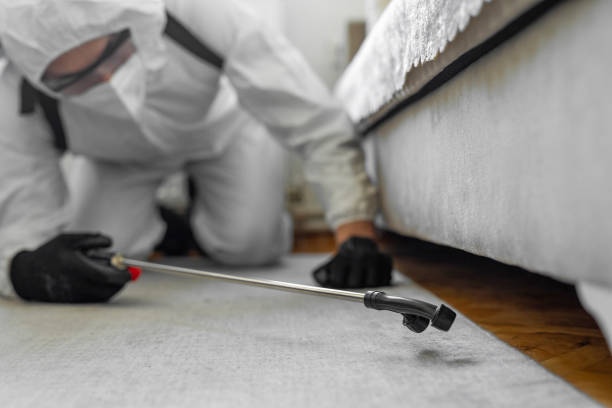Professional Ant Control technician working in Wood Village, OR